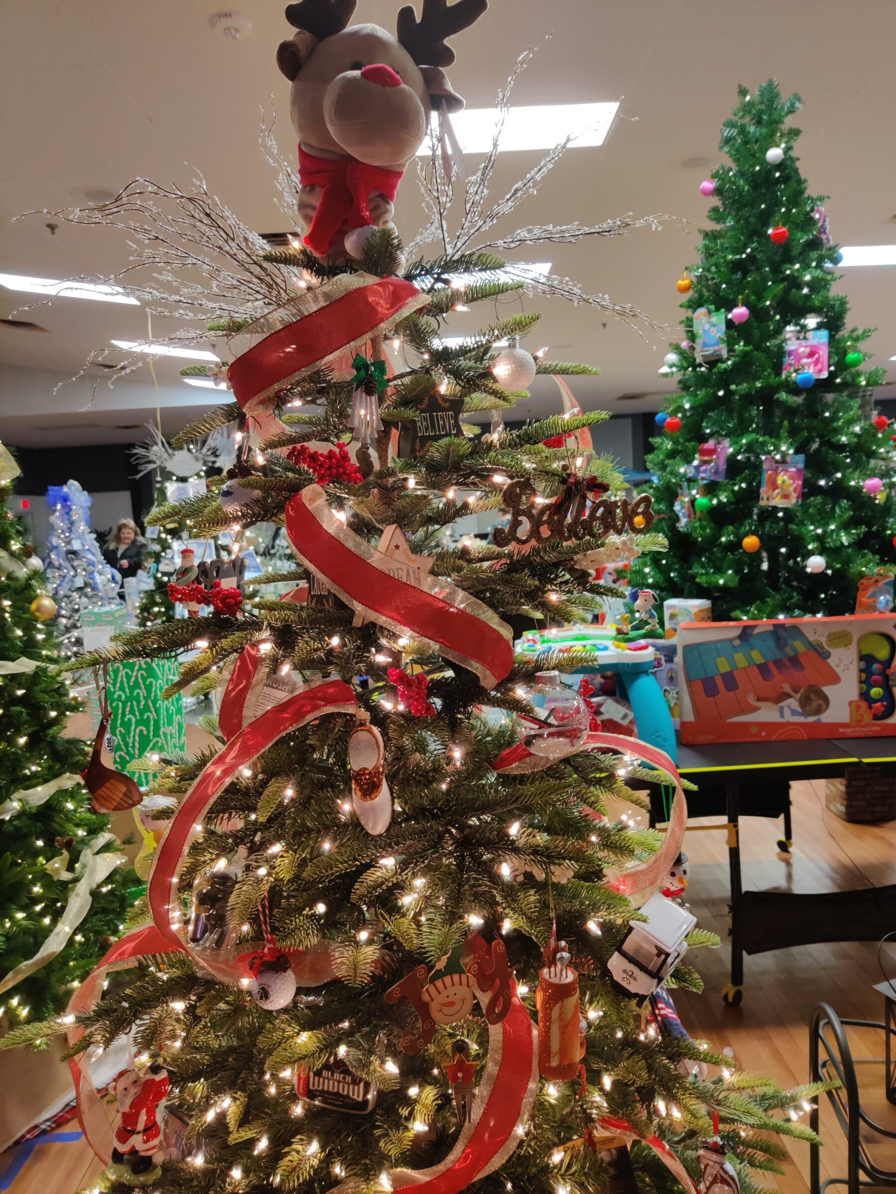 Join us for Waterville's Festival of Trees! KVCAP